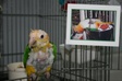Enlarge photo 10