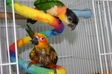 Enlarge photo 6