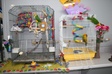 Enlarge photo 22