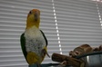 Enlarge photo 18