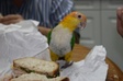 Enlarge photo 23