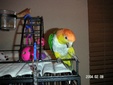 Enlarge photo 23