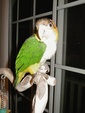 Enlarge photo 11