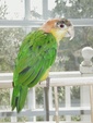 Enlarge photo 12