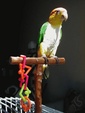 Enlarge photo 17
