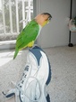 Enlarge photo 2