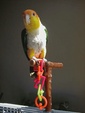 Enlarge photo 18