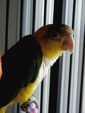 Enlarge photo 5