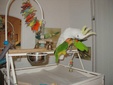 Enlarge photo 6