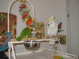 Enlarge photo 7