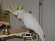Enlarge photo 8