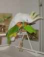 Enlarge photo 9