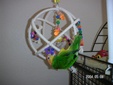 Enlarge photo 24