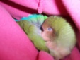 Enlarge photo 6
