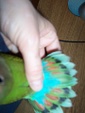 Enlarge photo 13