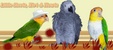 Enlarge photo 9