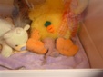 Enlarge photo 7