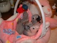 Enlarge photo 12