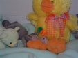Enlarge photo 11
