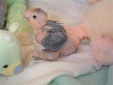 Enlarge photo 13