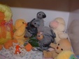 Enlarge photo 18