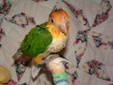 Enlarge photo 21