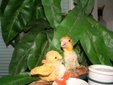 Enlarge photo 22