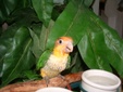 Enlarge photo 24