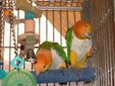 Enlarge photo 102