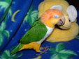 Enlarge photo 89