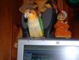 Enlarge photo 53