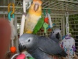 Enlarge photo 51
