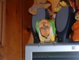 Enlarge photo 54