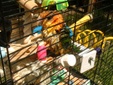 Enlarge photo 56