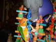 Enlarge photo 87