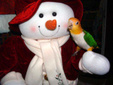 Enlarge photo 83