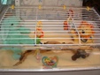 Enlarge photo 26