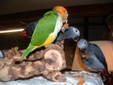 Enlarge photo 49