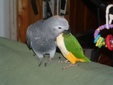 Enlarge photo 42