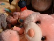Enlarge photo 10