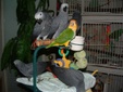 Enlarge photo 48