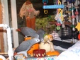 Enlarge photo 73