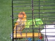 Enlarge photo 46