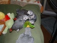 Enlarge photo 30