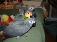 Enlarge photo 31