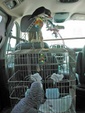 Enlarge photo 4