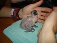 Enlarge photo 11