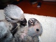 Enlarge photo 22