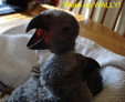 Enlarge photo 27