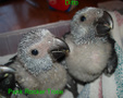 Enlarge photo 28
